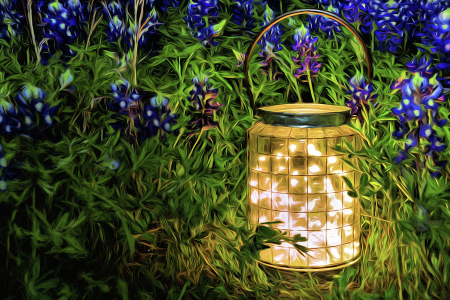 Fireflies and Bluebonnets Photograph by JC Findley