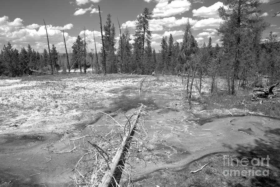 Firehole Bacterial Mat Black And White Photograph by Adam Jewell