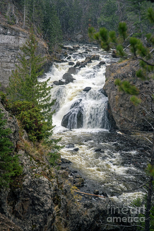 Firehole Falls Photograph by Cindy Murphy - NightVisions