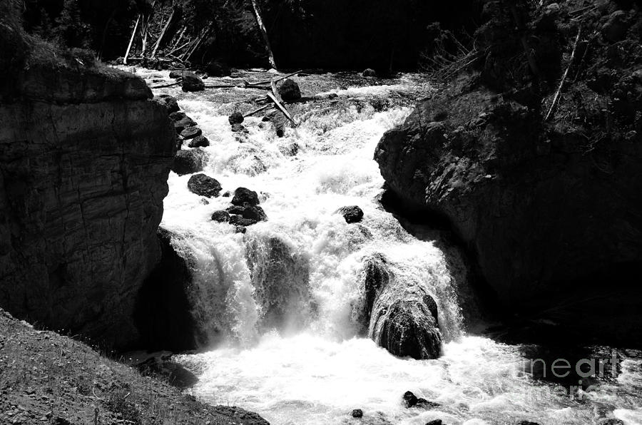 Firehole Falls Torrent into Firehole River in Yellowstone National Park Black and White Photograph by Shawn OBrien