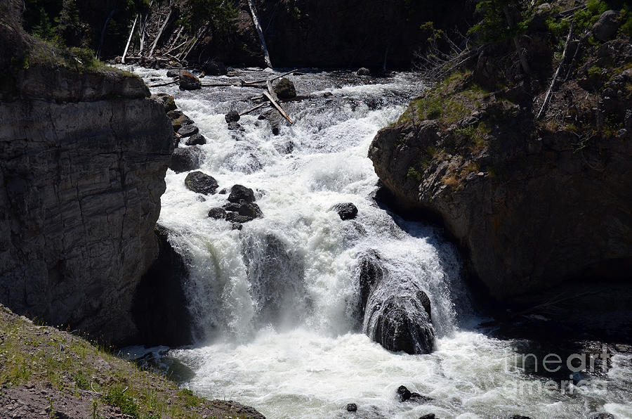 Firehole Falls Torrent into Firehole River in Yellowstone National Park Photograph by Shawn OBrien