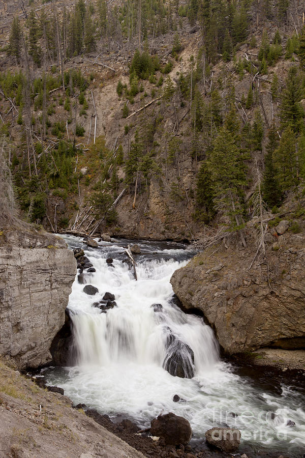Firehole Falls Yellowstone Photograph by Anthony Totah
