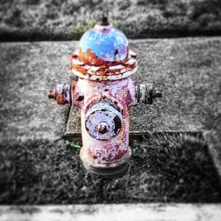 Cityscape Photograph - #firehydrant #streetphotography by Sharon Halteman