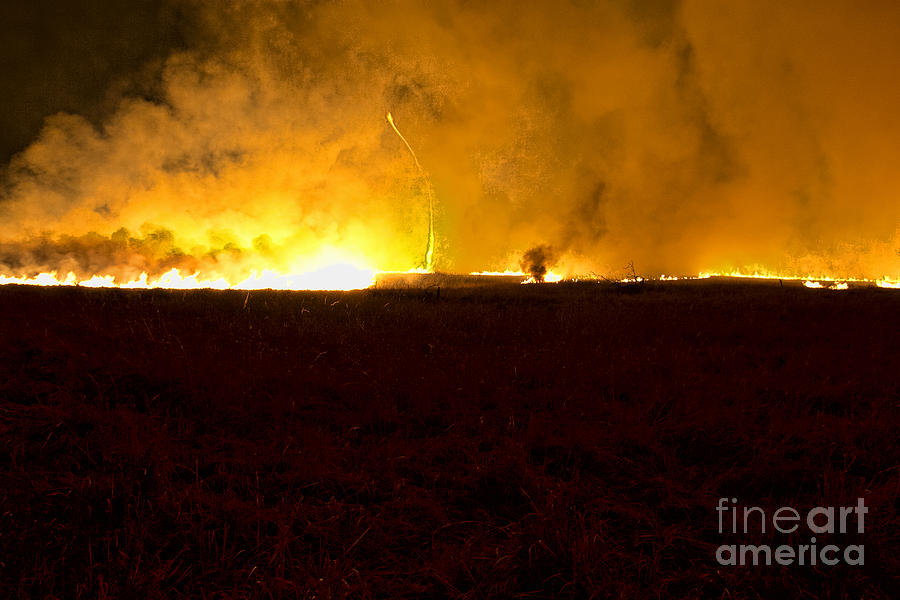 Firenado Photograph by Crystal Nederman
