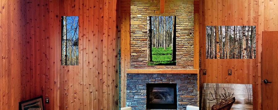 Fireplace Aspens 31 Photograph by Jerry Sodorff