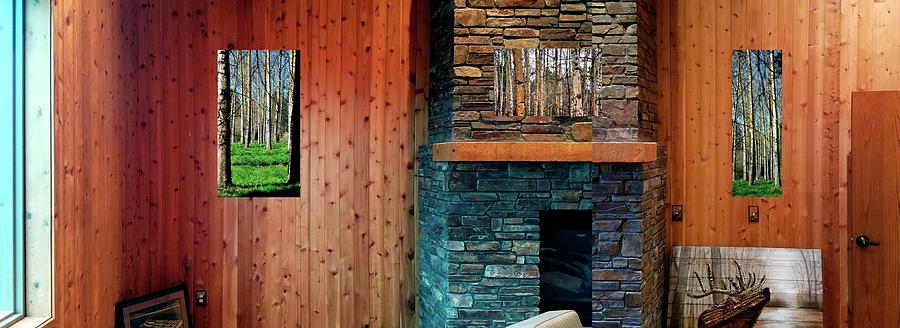 Fireplace Walls Aspens Photograph by Jerry Sodorff