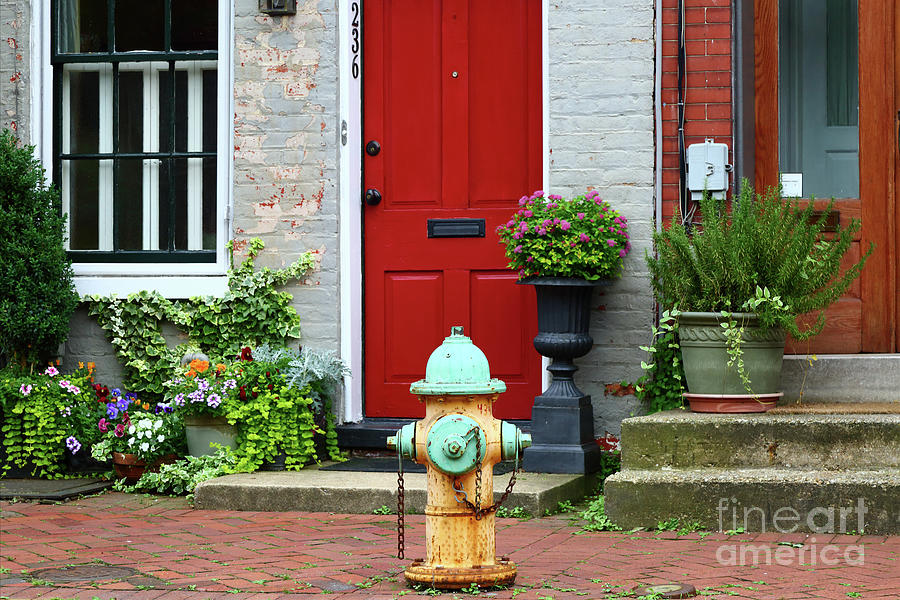 Fireplug in Frederick Maryland Photograph by James Brunker