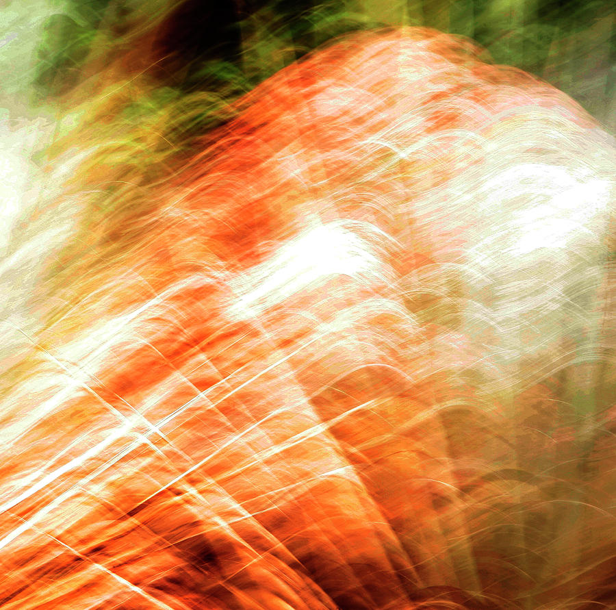 Firery Abstract Photograph by Marilyn Hunt