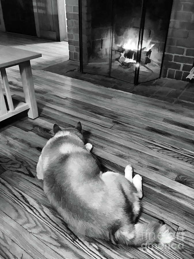 Fireside Companion Photograph by Kerri Farley