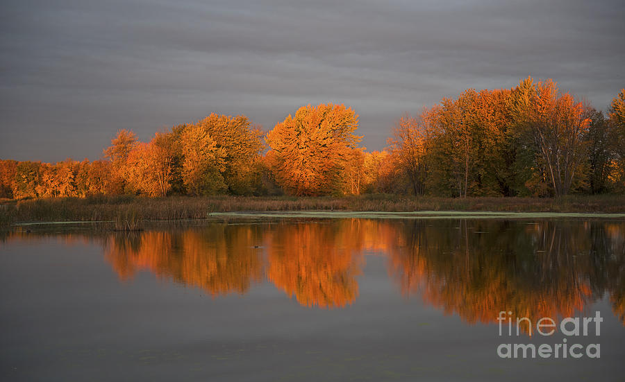 Fall Photograph - FireWall... by Nina Stavlund