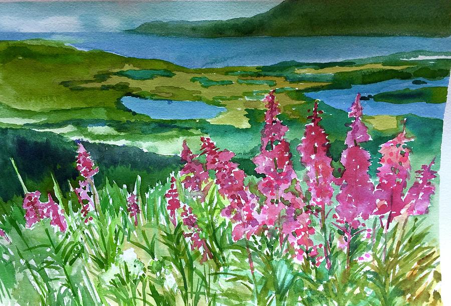 Fireweed in Jewel Basin Painting by Janice Lord - Fine Art America