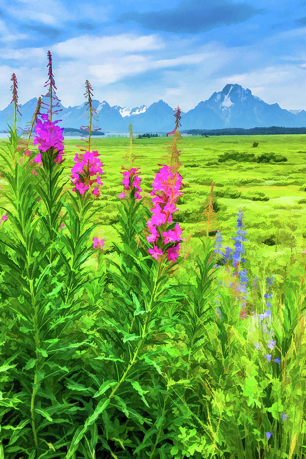 Fireweed in the Foreground 2 Digital Art by Lisa LemmonsPowers Fine