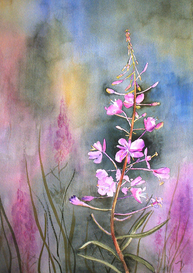 Fireweed Painting by Marsha Karle