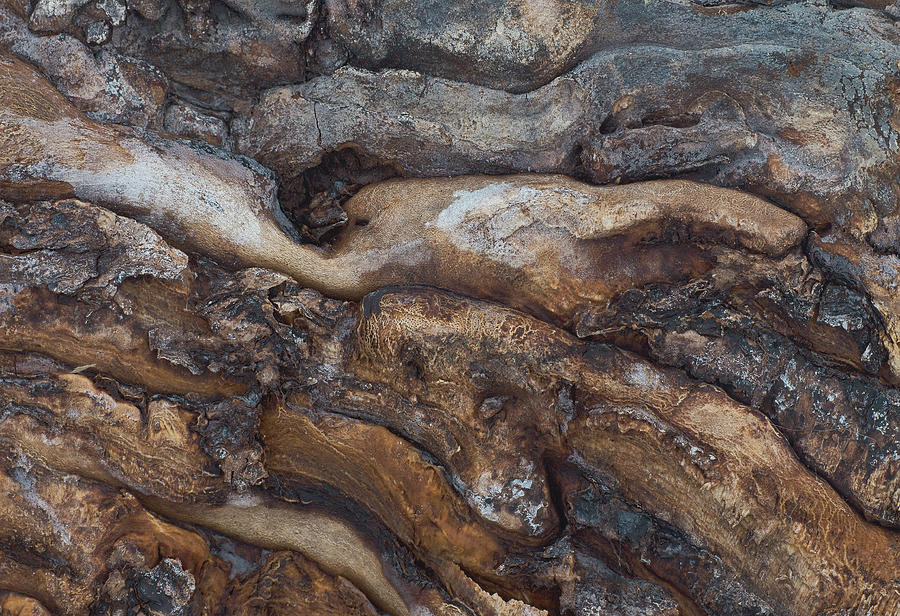 Firewood Abstract Photograph by Jim Zablotny