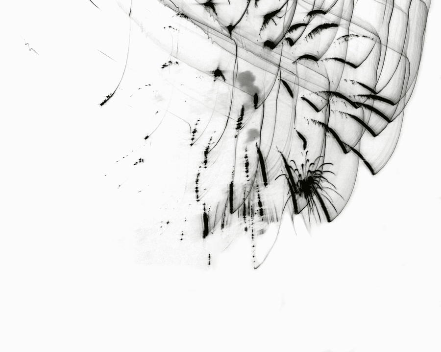 Firework Abstract 5 Drawing by Michelle Calkins