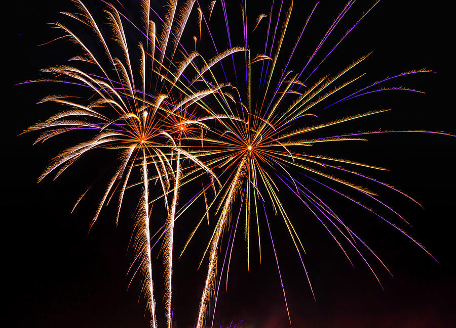 Firework Beauty Photograph by Garry Gay