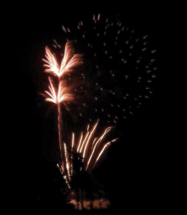 Independence Day Photograph - Firework Black and White   by Adrienne Wilson