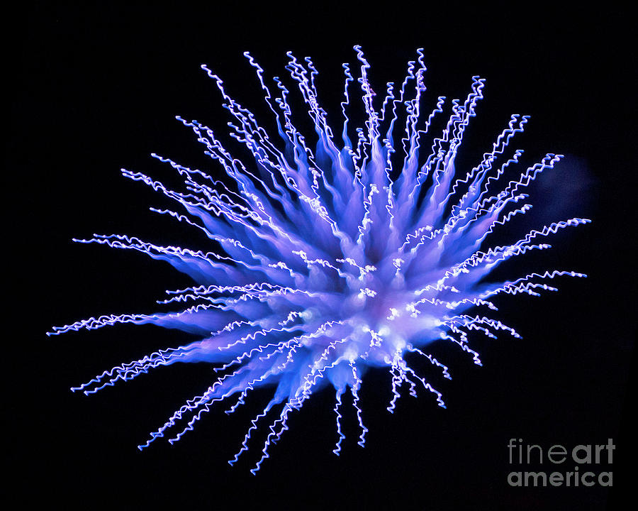 Fireworks in Ultra Blue Photograph by Martin Konopacki