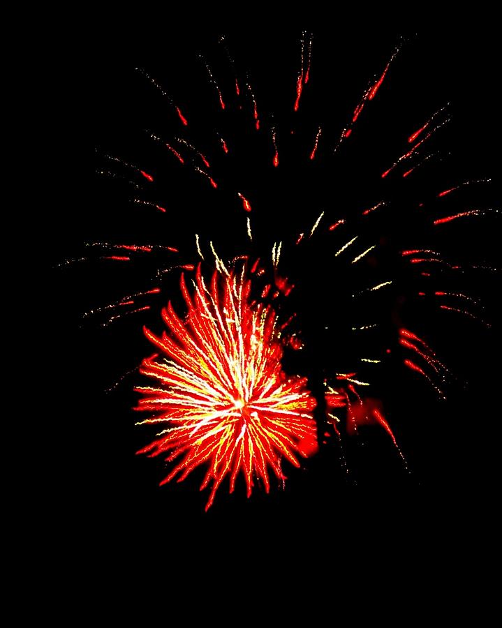 Independence Day Photograph - Firework Color Burst  by Adrienne Wilson