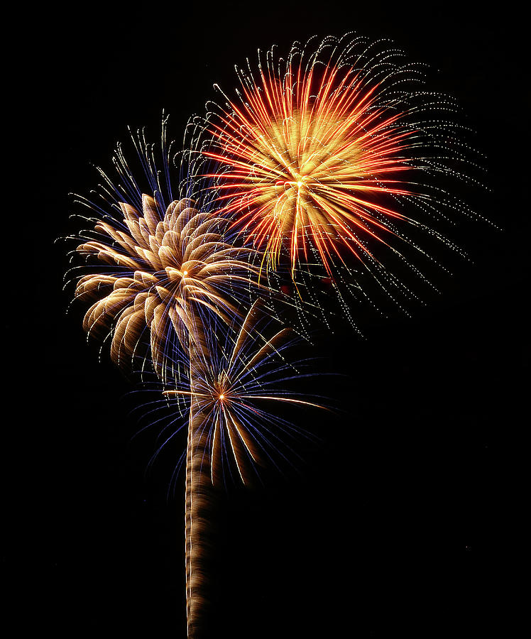 Firework Eyecandy Photograph by Elaine Malott