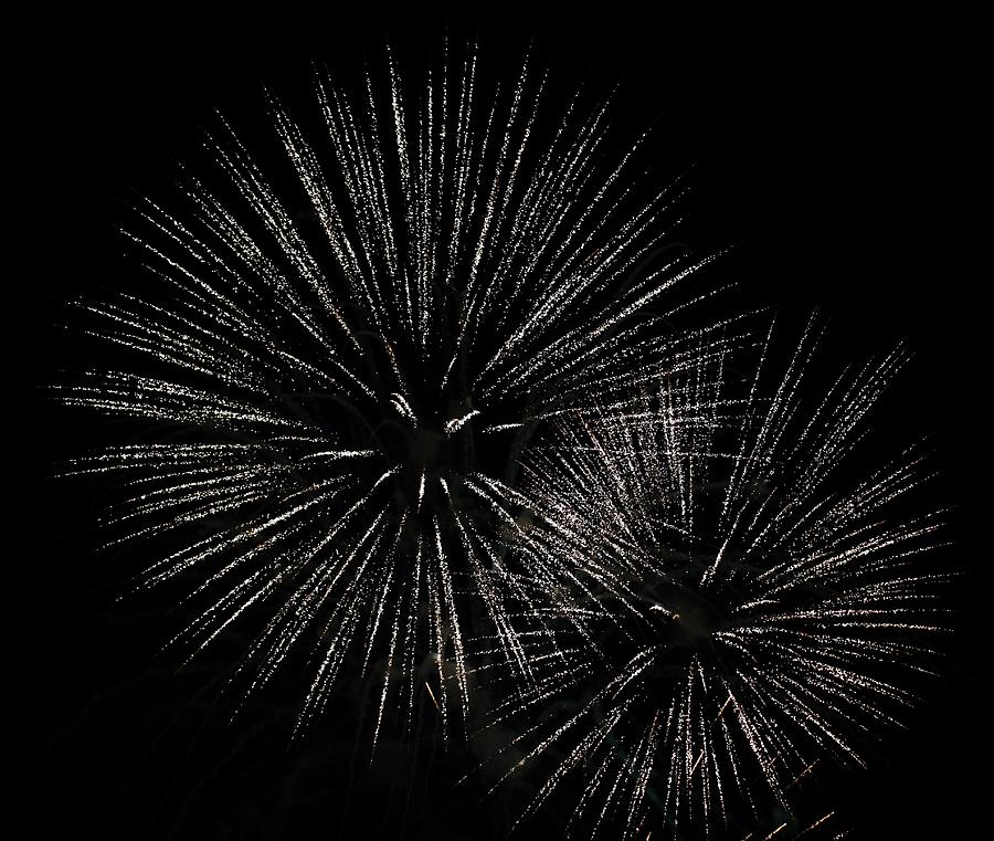 Firework Fantasy G Photograph by Edward Dobosh - Fine Art America