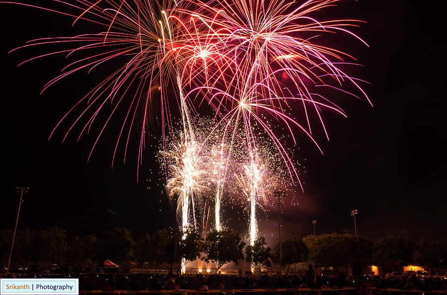 Firework Palm Trees Photograph by Srikanth Srinivasan