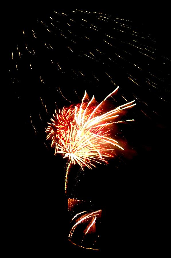 Independence Day Photograph - Firework Rain and Wind  by Adrienne Wilson