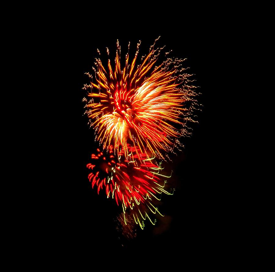 Independence Day Photograph - Firework The Rooster by Adrienne Wilson