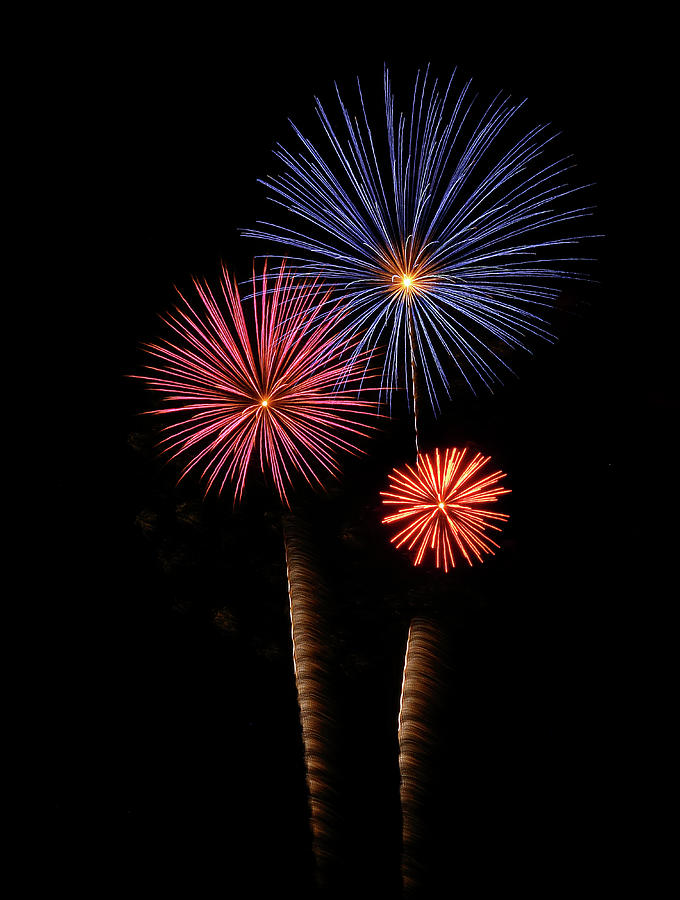 Firework Trees Photograph by Elaine Malott