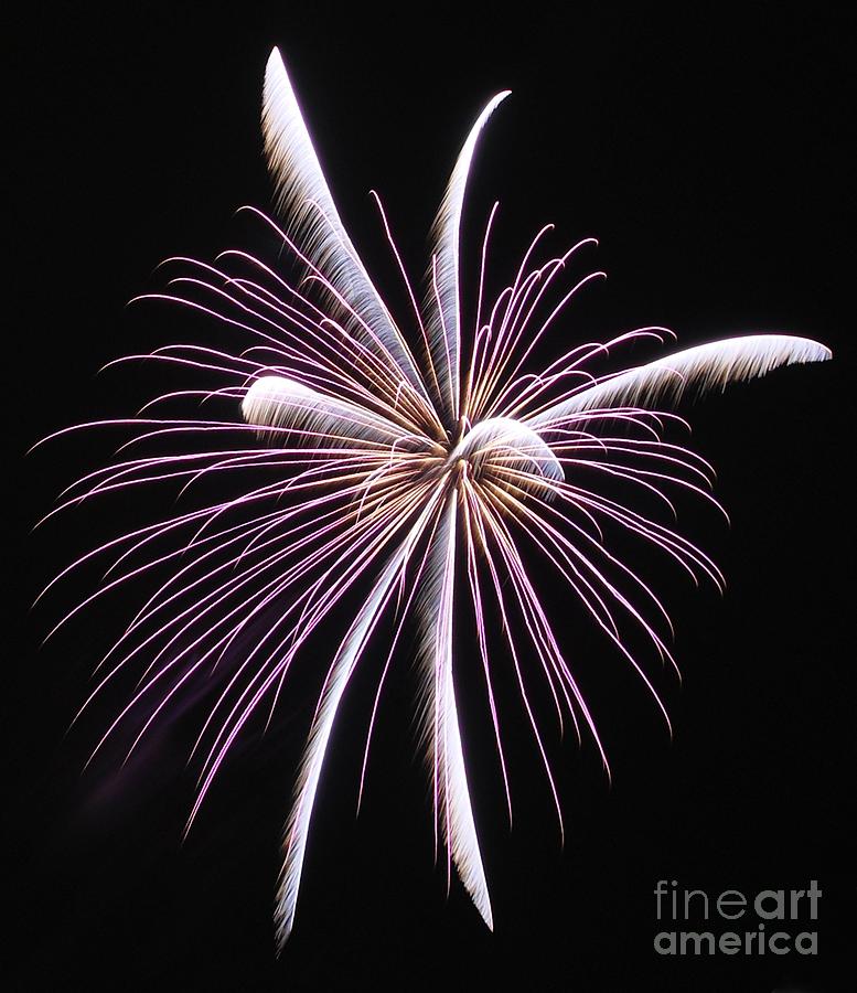 Fireworks 006 Photograph by Ken DePue