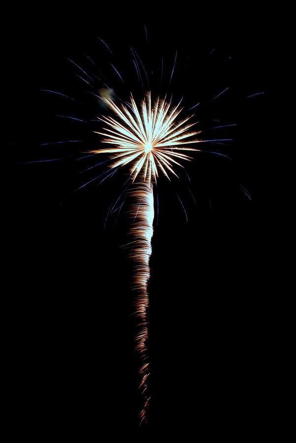 Fireworks Photograph - Fireworks 006 by Larry Ward