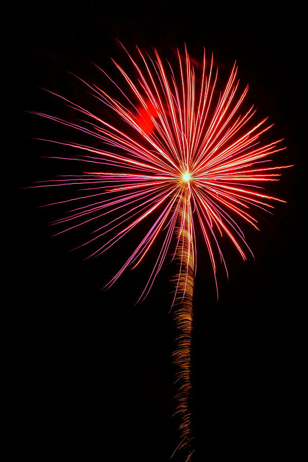 Fireworks 022 Photograph by Larry Ward