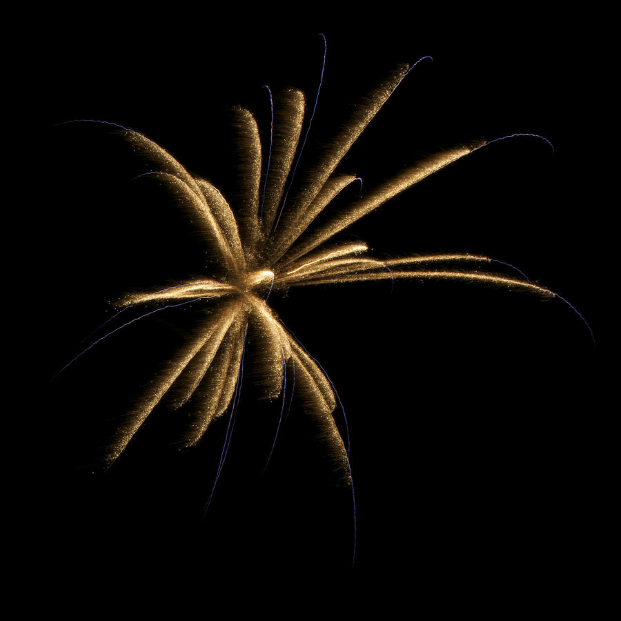 Fireworks 1 Photograph by Ellery Russell