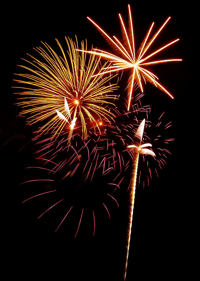 Independence Day Photograph - Fireworks 1 by Michael Peychich