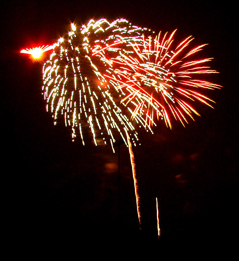 Fireworks 10 Photograph by Todd Zabel