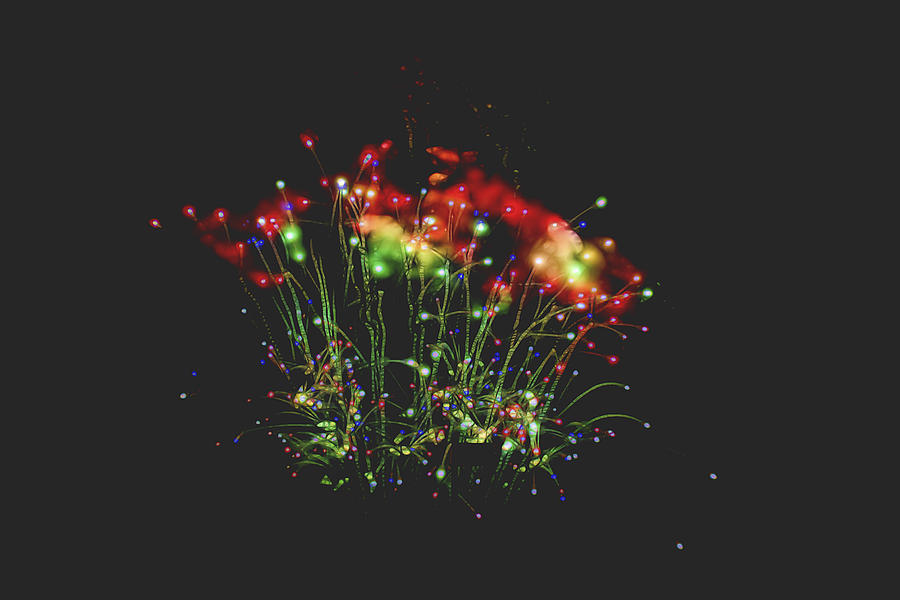 Fireworks 101 Digital Art by Cathy Anderson