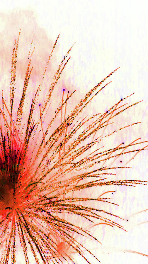 Fireworks 11 2018 abstracted Photograph by Mary Bedy