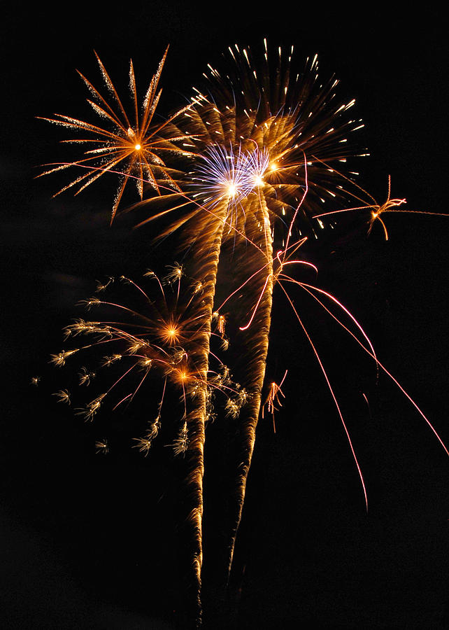 Independence Day Photograph - Fireworks 2 by Michael Peychich