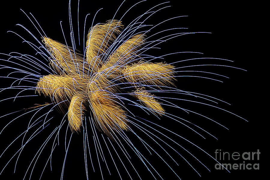 Fireworks 2013 5620 Photograph by Ken DePue