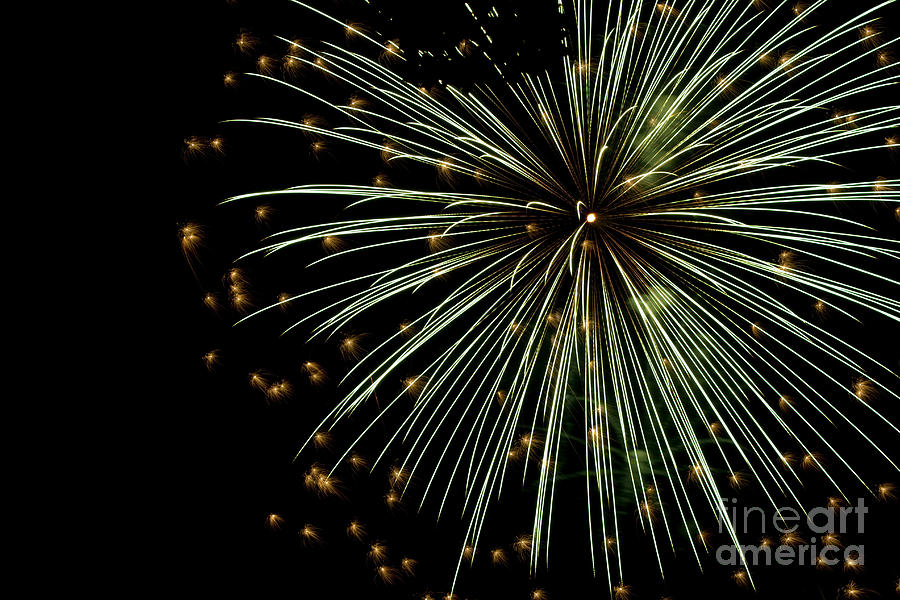 Fireworks 2016 Photograph by Tara Lynn