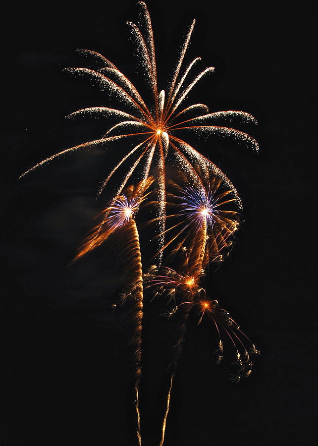 Independence Day Photograph - Fireworks 5 by Michael Peychich