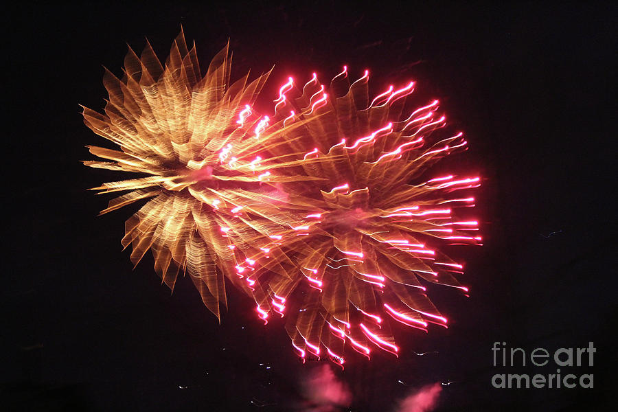 Fireworks Photograph by Ann E Robson