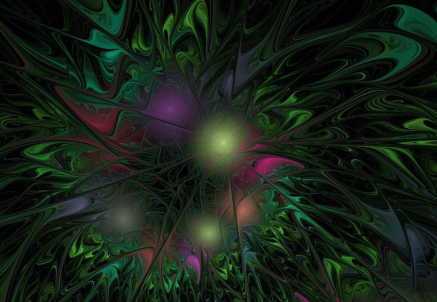 Fireworks Art Digital Art by Larissa Davydova | Fine Art America