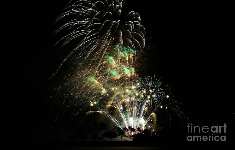 Fireworks Photograph by Craig Wood