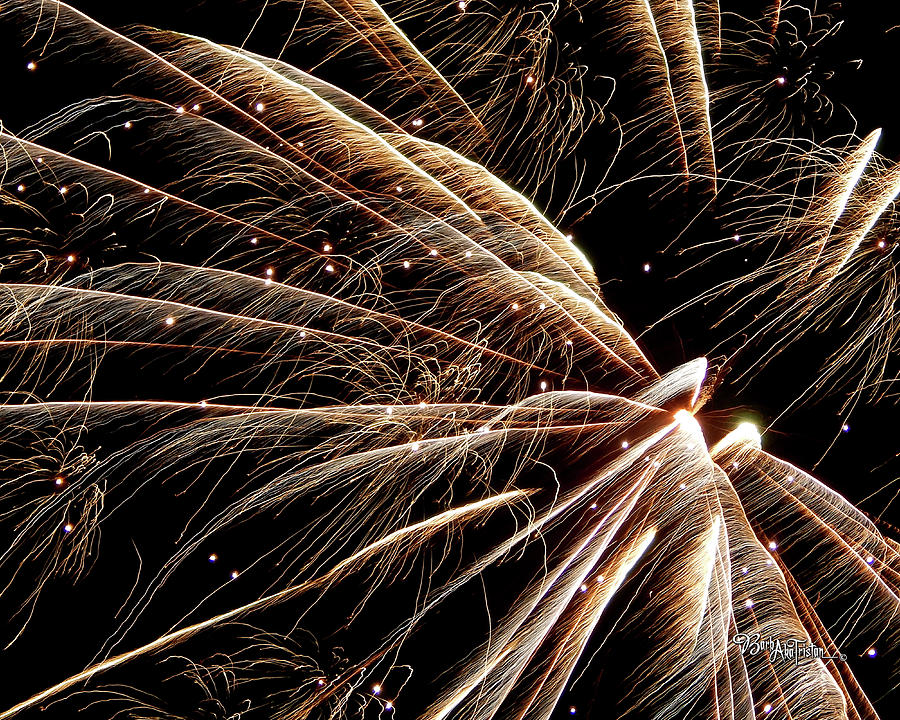 Fireworks Photograph - Fireworks Evolution #0710 by Barbara Tristan