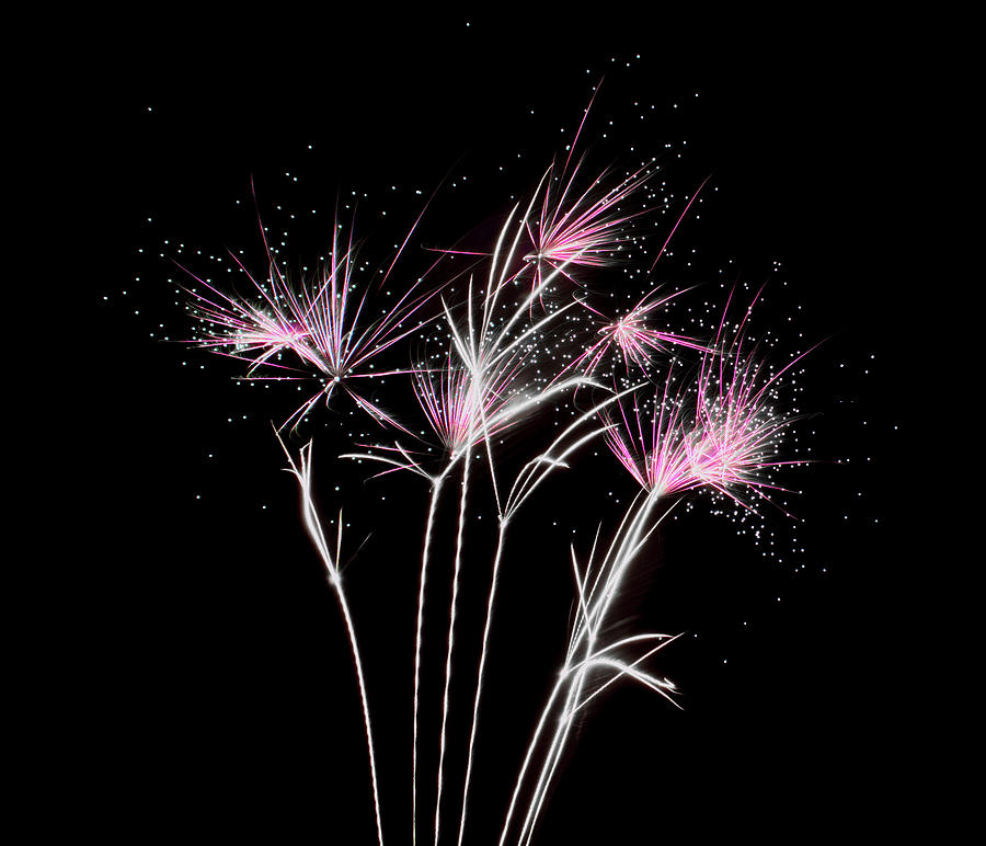 Fireworks Explosive Stardust Photograph by Scott Lyons