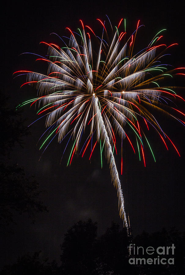 Fireworks Flower Photograph by Joann Long