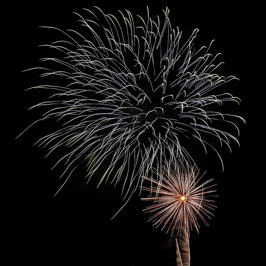 Fireworks from a Boat - 19 Photograph by Jeffrey Peterson