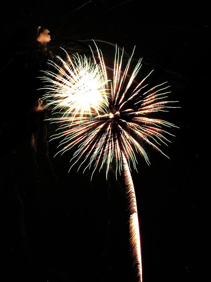 Fireworks from a Boat - 20 Photograph by Jeffrey Peterson