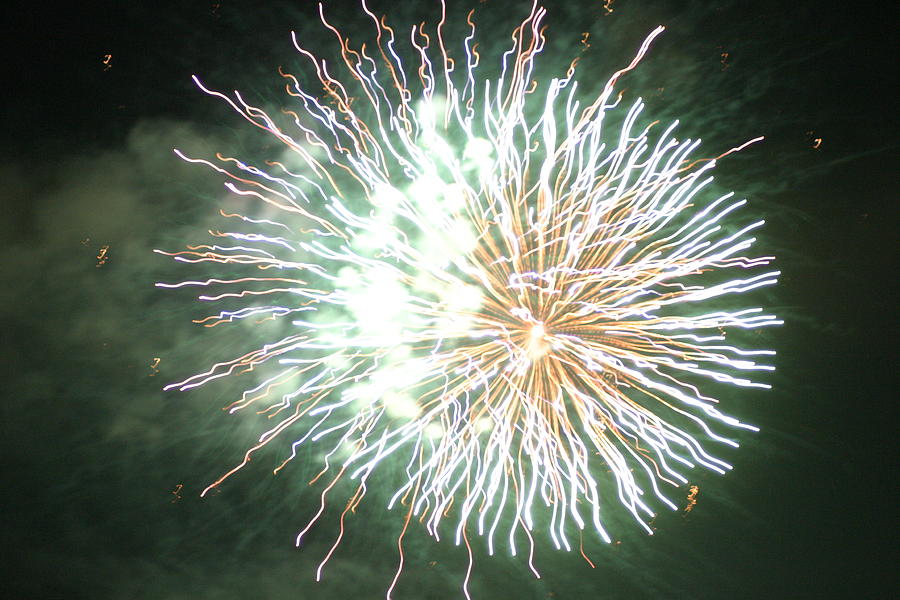 Fireworks In The Park 4 Digital Art by Gary Baird